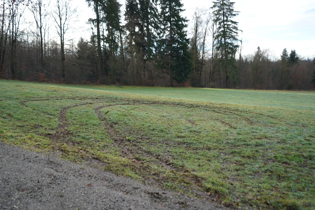 Eine Wiese mit tiefen, kreisförmigen Furchen.